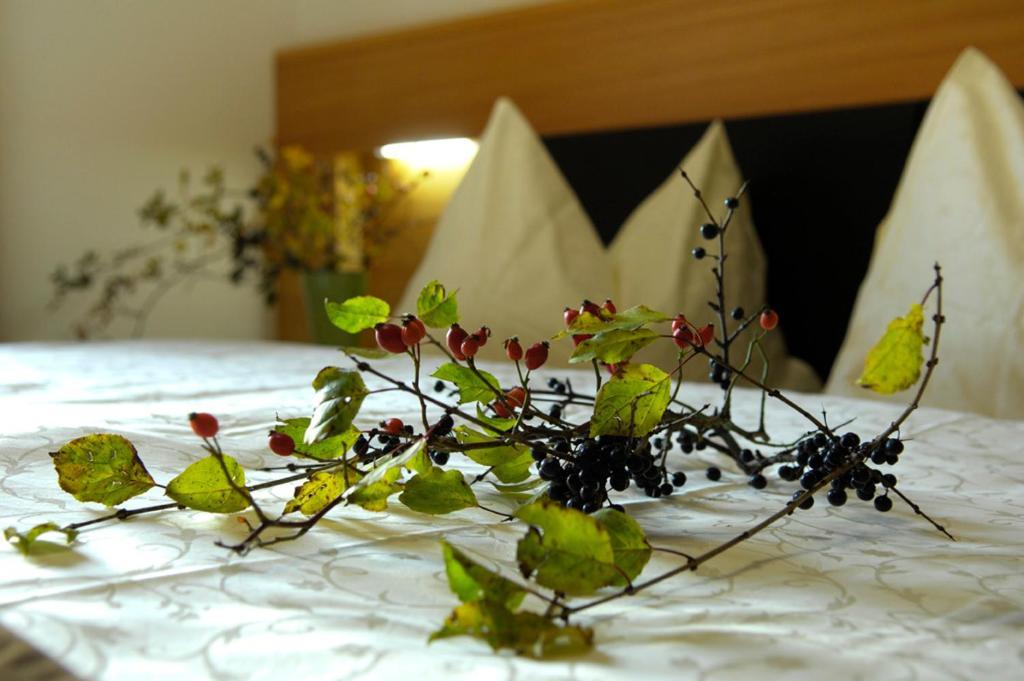 Villa Tilia Siusi Δωμάτιο φωτογραφία